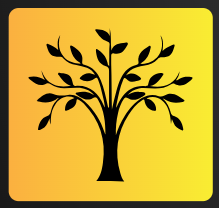 Rooted Essentials